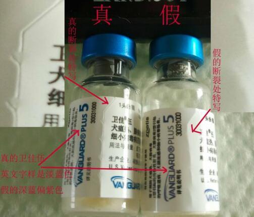 如何辨别辉瑞卫佳疫苗真假?(图3) 如何辨别辉瑞卫佳疫苗真假?(图3)