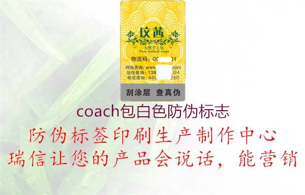 coach包白色山东体育直播泰山对曼谷联3.jpg