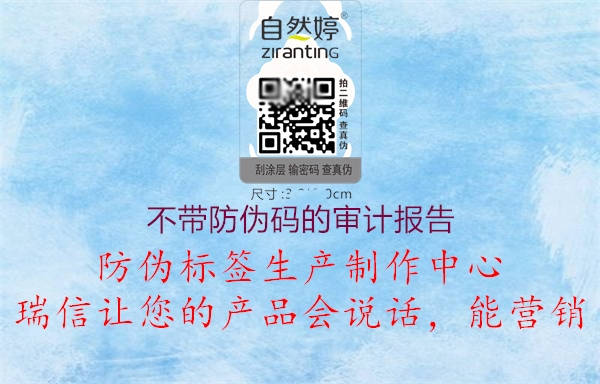 不带防伪码的审计报告(图1) 不带防伪码的审计报告1.jpg