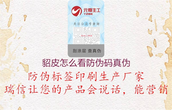 貂皮怎么看防伪码真伪(图3) 貂皮怎么看防伪码真伪3.jpg