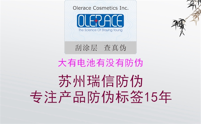 大有电池有没有防伪(图2) 大有电池有没有防伪2.jpg