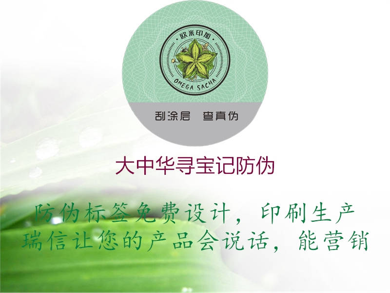 大中华寻宝记防伪(图2) 大中华寻宝记防伪2.jpg