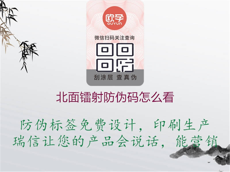 北面镭射防伪码怎么看(图1) 北面镭射防伪码怎么看1.jpg