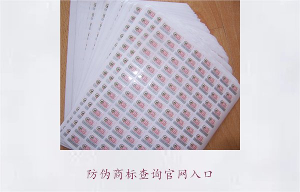 防伪商标查询官网入口:快速访问官方防伪商标查询平台的方法(图3) 防伪商标查询官网入口3.jpg