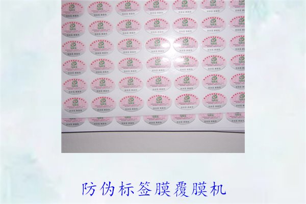 防伪标签膜覆膜机是什么?了解防伪标签膜覆膜机的工作原理与应用(图1) 防伪标签膜覆膜机1.jpg