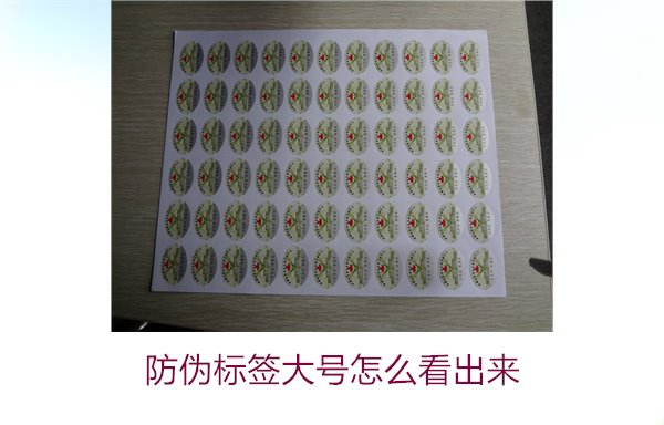 防伪标签大号怎么看出来?如何辨别大号防伪标签的真伪(图2) 防伪标签大号怎么看出来2.jpg