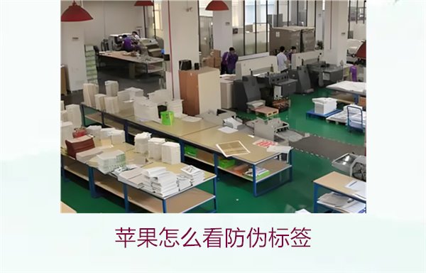 苹果怎么看防伪标签?教你如何快速识别苹果产品的防伪标签真伪(图1) 苹果怎么看防伪标签1.jpg