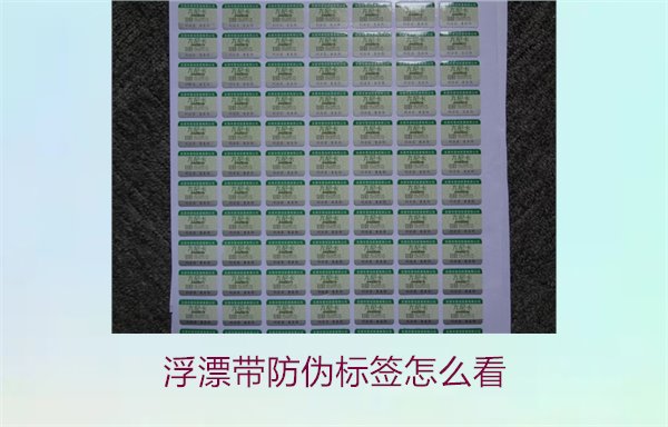 浮漂带防伪标签怎么看?如何正确辨别浮漂防伪标签的真伪(图3) 浮漂带防伪标签怎么看3.jpg