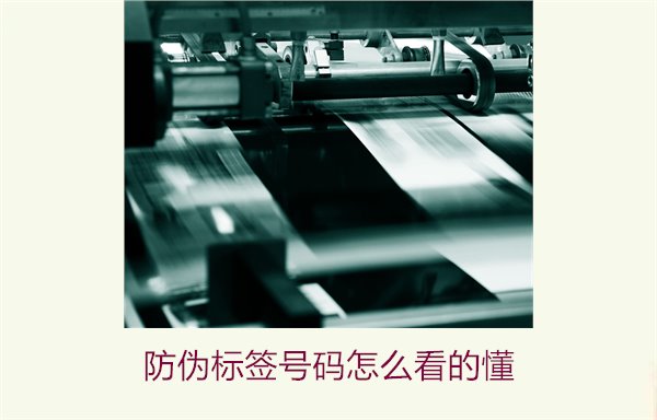 防伪标签号码怎么看的懂？详细解析防伪标签号码的识别方法与技巧(图1)