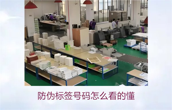 防伪标签号码怎么看的懂？详细解析防伪标签号码的识别方法与技巧(图2)