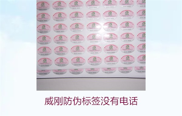 威刚防伪标签没有电话,如何通过其他方式验证威刚防伪标签的真伪(图3) 威刚防伪标签没有电话,如何通过其他方式验证威刚防伪标签的真伪(图3)